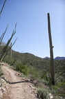 tucson-esperero-trail